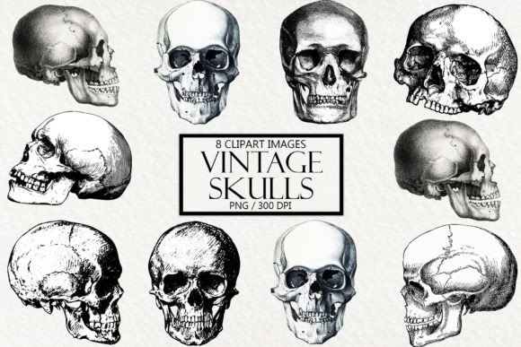 Download Vintage Skulls Clipart - Skulls Collection