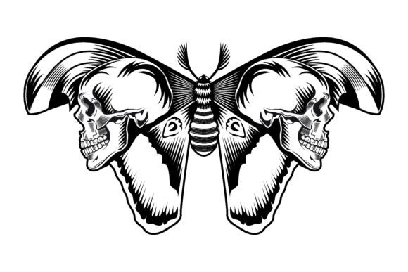 Download Moth with Skulls on Wings Vector Illustr - Skulls Collection